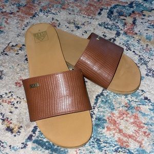 Reef Bliss Nights slides